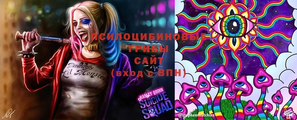 jwh Бородино
