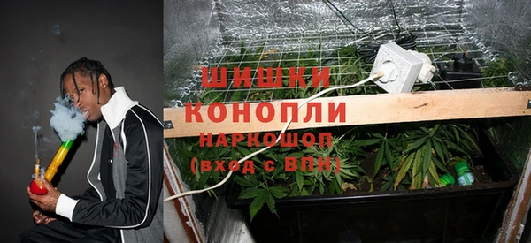 МДПВ Верея
