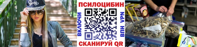 Псилоцибиновые грибы Psilocybine cubensis  Ворсма 